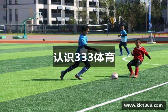 认识333体育